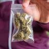 El parlamento de Lituania propone despenalizar el cannabis