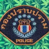 Tailandia castiga a cuatro policías por detener a una mujer que cultivó cannabis 
