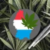 El Gobierno de Luxemburgo da luz verde a la legalización del cannabis