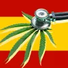 Los pacientes valoran la futura regulación del cannabis en España 
