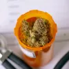 Washington DC aprueba que cualquier adulto acceda al cannabis medicinal 