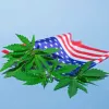 Presentan la esperada ley para legalizar el cannabis en todo EE UU
