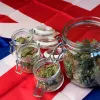 Legalizar la marihuana para aumentar el turismo, dicen los conservadores británicos 