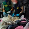 Incautan 13 kilos de la droga 2-CB, la mayor cantidad intervenida en España