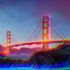 San Francisco despenaliza los psicodélicos naturales