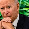 Joe Biden sigue inmóvil ante las políticas del cannabis 