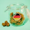 Alemania sigue adelante con la legalización y este es su plan