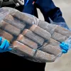 España gasta 300.000 euros anuales en destruir drogas 