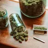 Ginebra opta a la venta de cannabis con un sistema comunitario