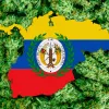 Otra ley de cannabis recreativo supera el primer trámite en Colombia