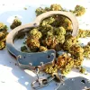 Biden amnistía a los condenados por posesión de cannabis y ordena revisar la prohibición