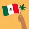 Un activista logra el permiso de la administración mexicana para usar marihuana