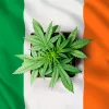 El Parlamento Irlandés votará la legalización del uso adulto de marihuana