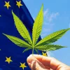 Empresarios del cannabis europeos piden a la Comisión Europea que permita la legalización