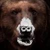 Convierten la historia del oso atiborrado de cocaína en una película  