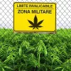 El ejército italiano aumenta la producción de marihuana medicinal