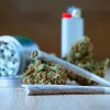 Uruguay bate récord de ventas de cannabis tras lanzar una nueva variedad más potente