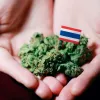 Tailandia trata de controlar la venta de cogollos de marihuana 