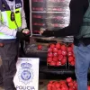 Intervienen 22 toneladas de hachís ocultas dentro de tomates falsos 
