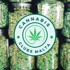 Los primeros clubs de cannabis de Malta podrán registrarse a finales de mes