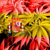 La esperada regulación del cannabis medicinal en España ya lleva dos meses de retraso
