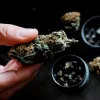 Malta reduce las tasas para la apertura de clubs de cannabis