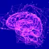 Un estudio descubre que la DMT provoca mayor conectividad en el cerebro