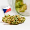 República Checa incluye la legalización del cannabis en su plan contra las adicciones