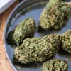 Maryland empezará a vender marihuana recreativa en julio