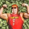 Hulk Hogan también se suma a la industria del cannabis 