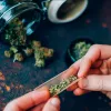 Los socios de los clubs de cannabis alemanes crecen tras el anuncio de su regulación