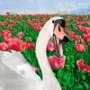 Cientos de cisnes se vuelven adictos al opio en Eslovaquia 