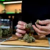 Los clubs de cannabis alemanes piden una ley más práctica y realista 