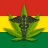 Bolivia discutirá una ley para legalizar el cannabis medicinal
