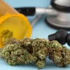 La Sanidad británica financia el primer tratamiento con cogollos de cannabis medicinal 