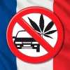 Francia dicta que un positivo de THC al volante es delito aunque sea por CBD medicinal 