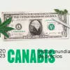 Publican un índice de precios del cannabis en todo el mundo ¿Han acertado? 