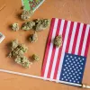 El uso adulto de cannabis bate récords en EE UU sin aumentar entre adolescentes 