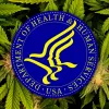 El Departamento de Salud de EE UU recomienda reducir la prohibición sobre el cannabis 