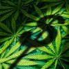 Los bancos de EE UU que prestan servicio a la industria del cannabis baten récords 