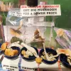 Vancouver persigue las tiendas de venta de hongos psicodélicos
