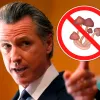 El gobernador de California veta la legalización de los psicodélicos