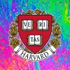 Harvard creará unos Estudios Psicodélicos en la Sociedad y la Cultura