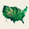 Seis gobernadores piden a Joe Biden que reclasifique la marihuana antes de fin de año 