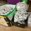 Dispensarios de Massachusetts ofertan porros por reciclar envases 