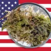 250 páginas de documentos: la justificación de EE UU que reconoce el valor médico del cannabis