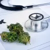 El Parlamento de Ucrania aprueba la legalización del cannabis medicinal