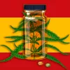 España avanzará en la ley medicinal de cannabis y pospondrá la regulación integral