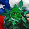 El Gobierno de Chile convoca académicos para elaborar un proyecto de regulación integral del cannabis