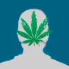 Canadá comprueba que la psicosis no es una excusa para avanzar en la regulación integral del cannabis